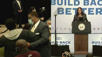 Kamala Harris Handles Hecklers During Speeches in New York and Virginia