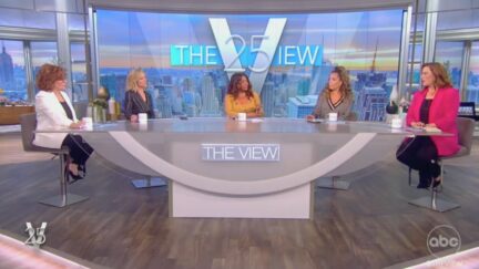 ABC's The View