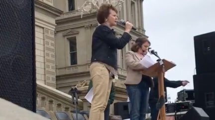Michigan Republican at Rally Demanding 'Audit'