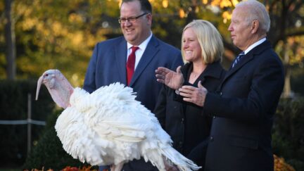 President Joe Biden pardons turkey