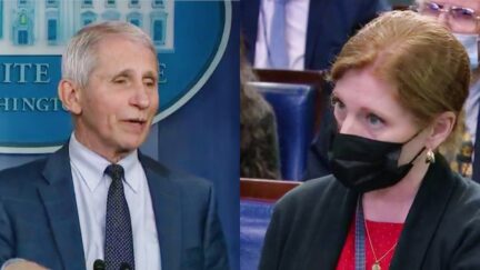 Anthony Fauci Caren Bohan split image