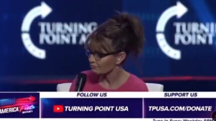 Sarah Palin