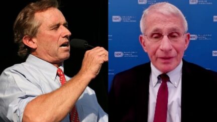 Fauci RFK Jr