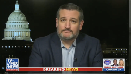 Ted Cruz Demands Biden 'Fess Up' to FBI Activities That Occurred During Trump Administration