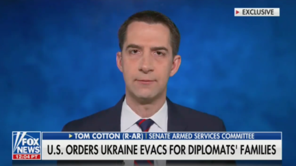 Tom Cotton