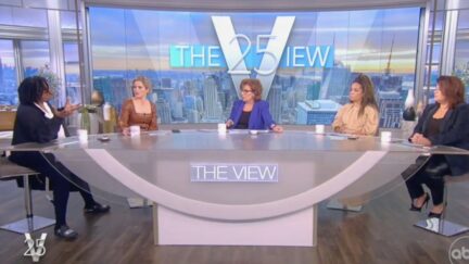 Whoopi Goldberg clashes with co-hosts on The View
