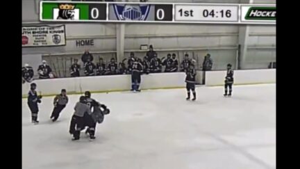 Hockey player banned for punching ref