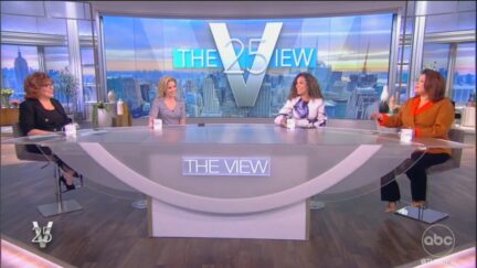The View panel on Feb. 7