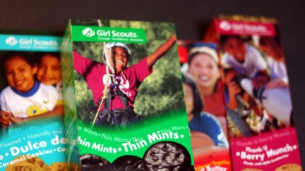 girl scout cookies, thin mints