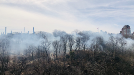 A suspected arsonist allegedly started multiple fires across the west side of Central Park in New York City on Tuesday, according to investigators.