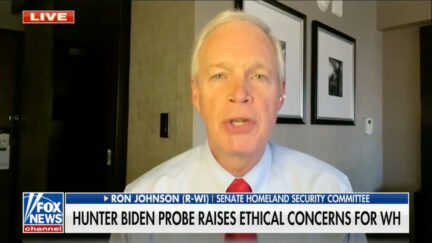 Sen. Ron Johnson (R-WI) on Fox News on April 14