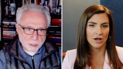 Kaitlan Collins Covers Up Fact She Worked for Tucker Carlson's Daily Caller in CNN+ Interview with Wolf Blitzer split