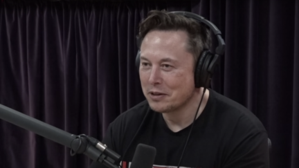 Elon Musk Asks Twitter If They Trust Billionaires or Politicians More