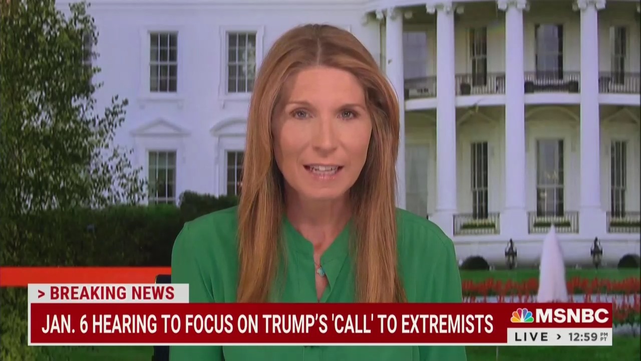 Nicolle Wallace on MSNBC