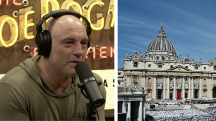 Joe Rogan