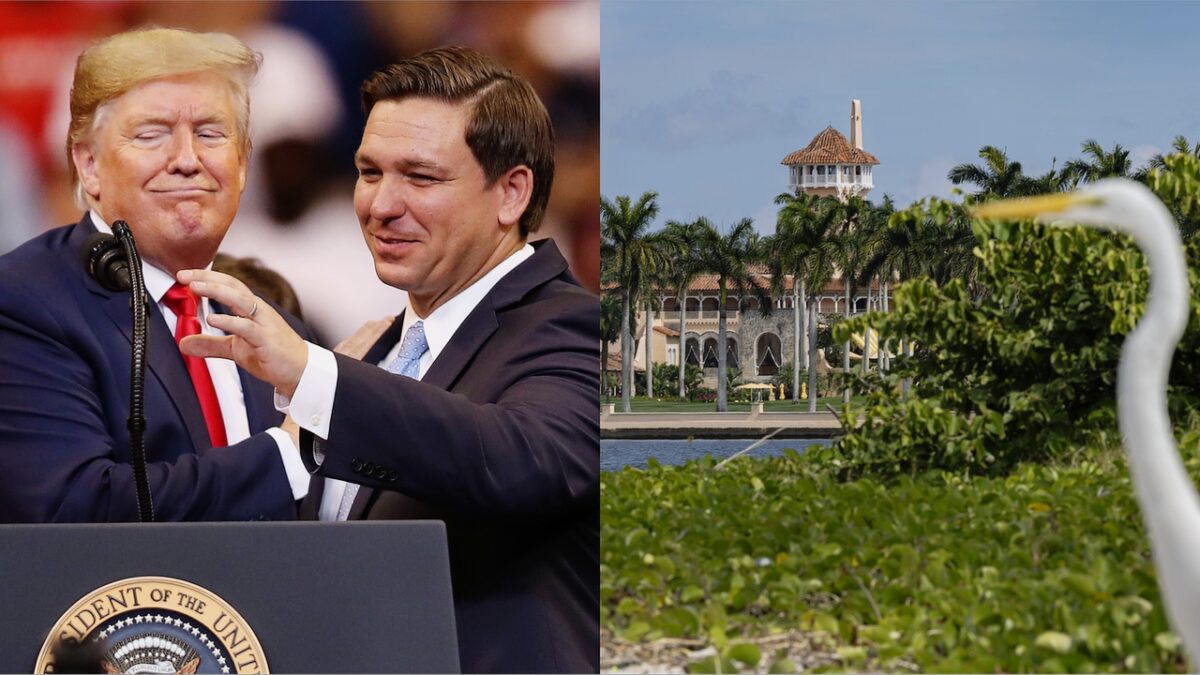 FBI Mar-a-Lago Raid Helped Trump vs. DeSantis - 10 pt Swing