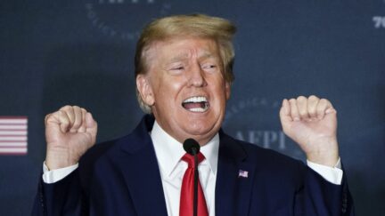 donald trump with fists raised