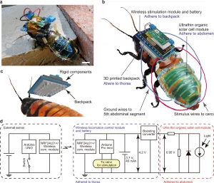 diagram of cyborg cockroach