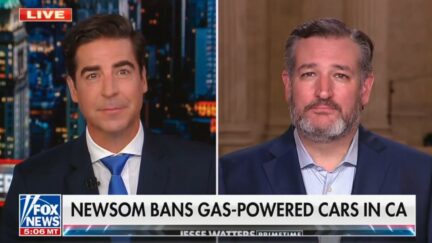 Jesse Watters and Ted Cruz