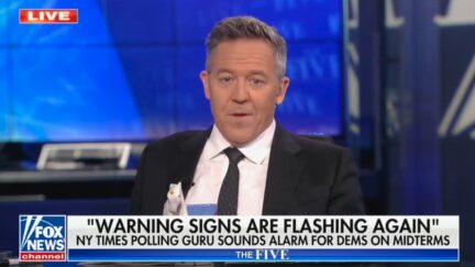 Greg Gutfeld rips Alejandro Mayorkas