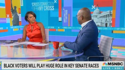 MSNBC Analyst Claims Black Men Get Blamed Too Often for Dem Party's Failures