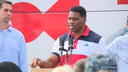 Herschel Walker tells cow story