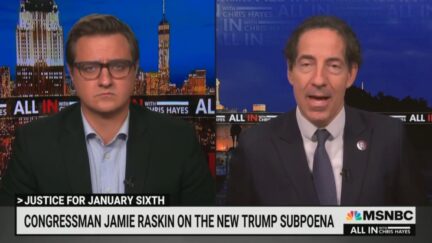 Jamie Raskin calls Trump 