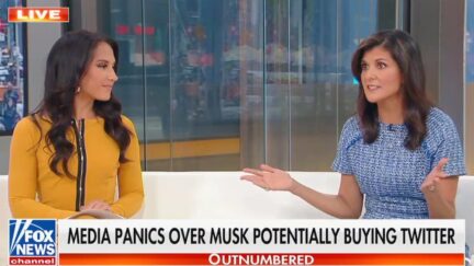 Nikki Haley Claims She Gained 50K Twitter Followers Thanks to Musk Deal