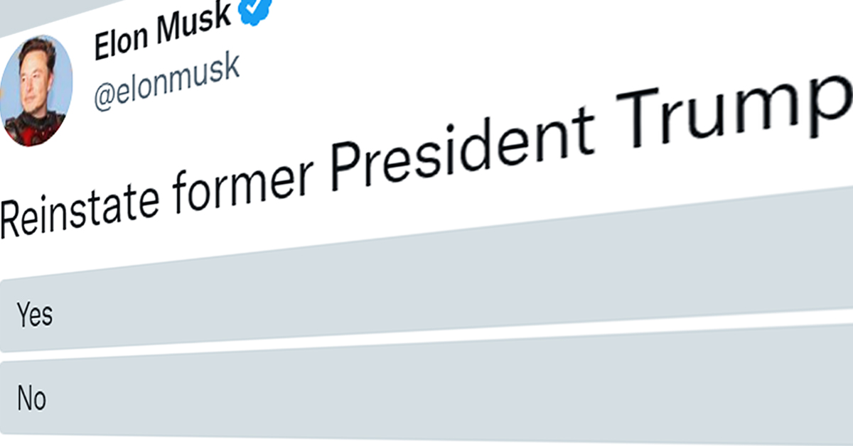 Musk Reinstate Trump Poll