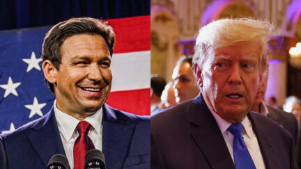 SHOCK POLL DeSantis Beating Trump By SEVEN After Midterms