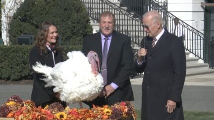 Joe Biden Holds Thanksgiving Turkey Pardon