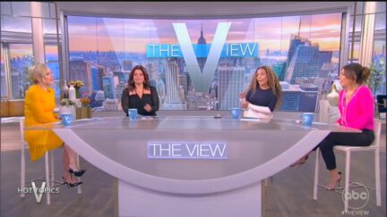 'The View' on Nov. 14