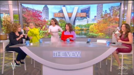 'The View' on Nov. 28