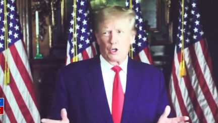 Trrump Responds to Musk Twitter Poll