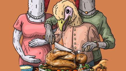 PETA Mocked for Asking People to Imagine Themselves as Thanksgiving Dinner: 'Kill Turkeys Before They Rebel'