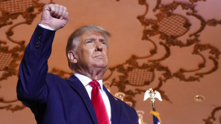 Donald Trump raising fist in victory pose