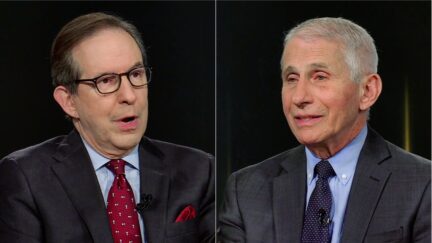 CNN's Chris Wallace Asks Fauci Point-Blank 'What Do You Think of Donald Trump
