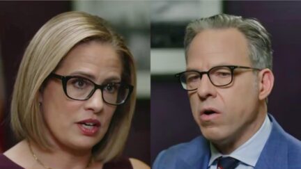 CNN's Jake Tapper Asks Sinema If She Agrees 'Democrats Just Don't Take Border Security Seriously — They Just Don't'
