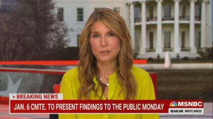 Nicolle Wallace