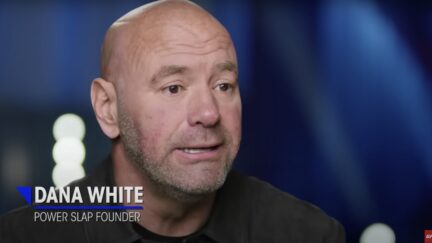 Dana White