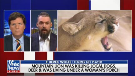 Tucker Carlson Derek Wolfe