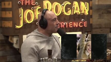 Joe Rogan Brittany Matthews