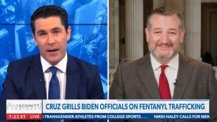 Ted Cruz on Newsmax