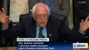 Bernie Sanders Moderna CEO