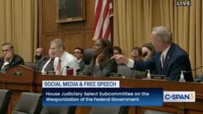Jim Jordan, Stephen Lynch Clash at House Judiciary Hearing