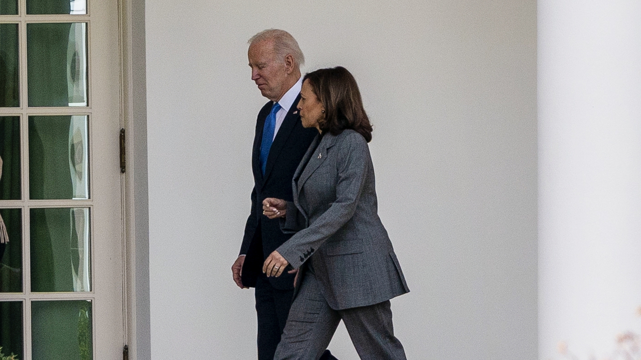 Biden and Vice President Kamala Harris sound alarm after abortion pill decision: 