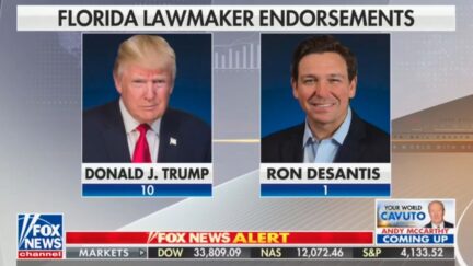 Trump/DeSantis Fox graphic