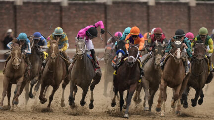 Kentucky Derby horses