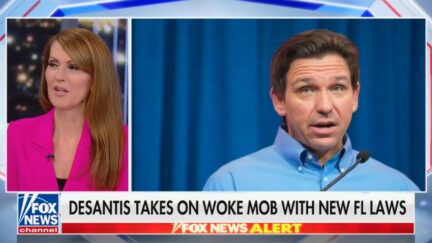 Dagen McDowell dumps on DeSantis