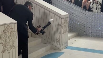 Cockroach at the Met Gala